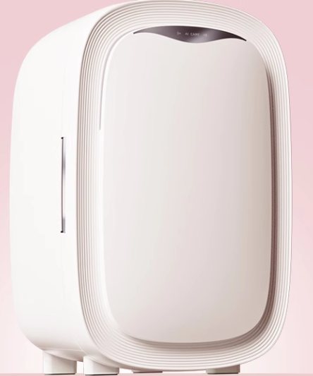 12L Portable Mini Beauty Fridg - Beauty Makeup Fridge 评论和价格