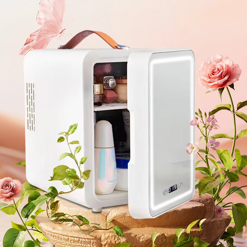 Skincare Digital Display Disin - Beauty Makeup Fridge 评论和价格
