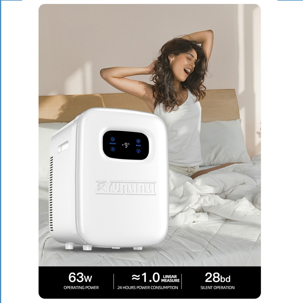 20L Car Refrigerator Portable  - Beauty Makeup Fridge 评论和价格