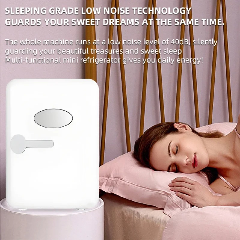Portable 4L Mini Beauty Fridge - Beauty Makeup Fridge 评论和价格