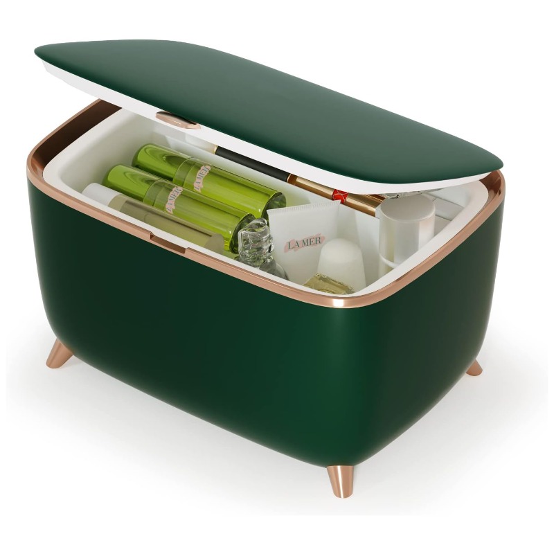 Mini Beauty Refrigerator for M - Beauty Makeup Fridge 评论和价格