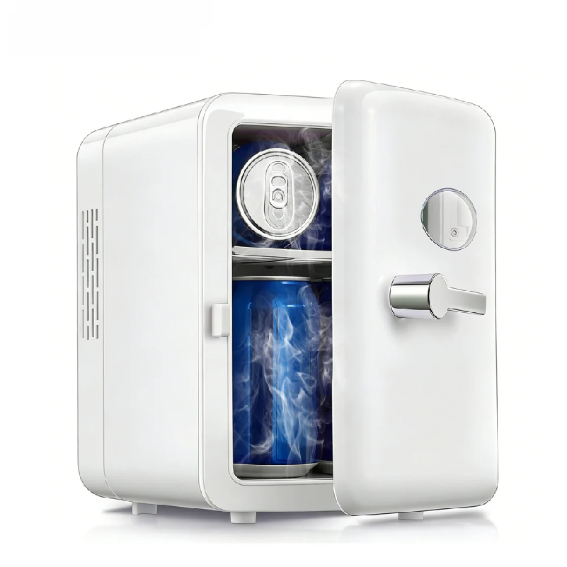 Portable 4L Mini Beauty Fridge - Beauty Makeup Fridge 评论和价格