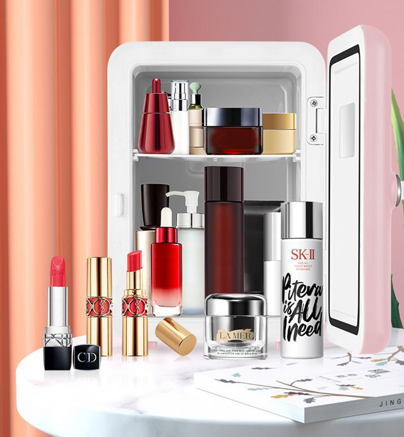 Dual-Use 4L Home Car Use Refri - Beauty Makeup Fridge 评论和价格