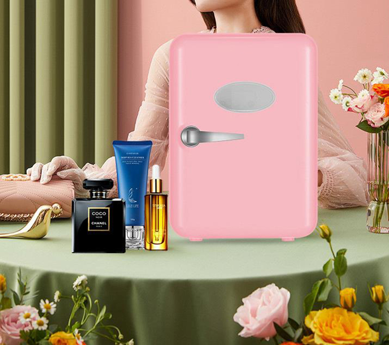 Dual-Use 4L Home Car Use Refri - Beauty Makeup Fridge 评论和价格
