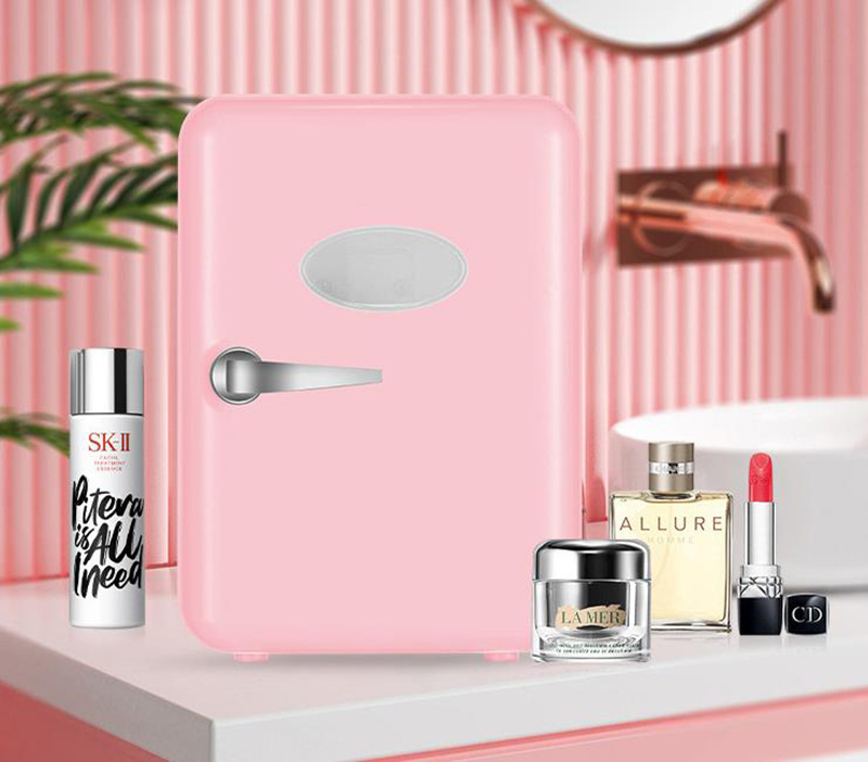 Dual-Use 4L Home Car Use Refri - Beauty Makeup Fridge 评论和价格