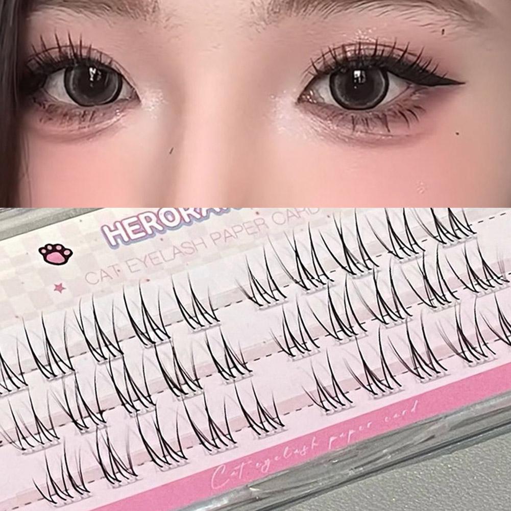 Fake Lashes Natural Long-Lasti - Your Beauty Makeup 评论和价格